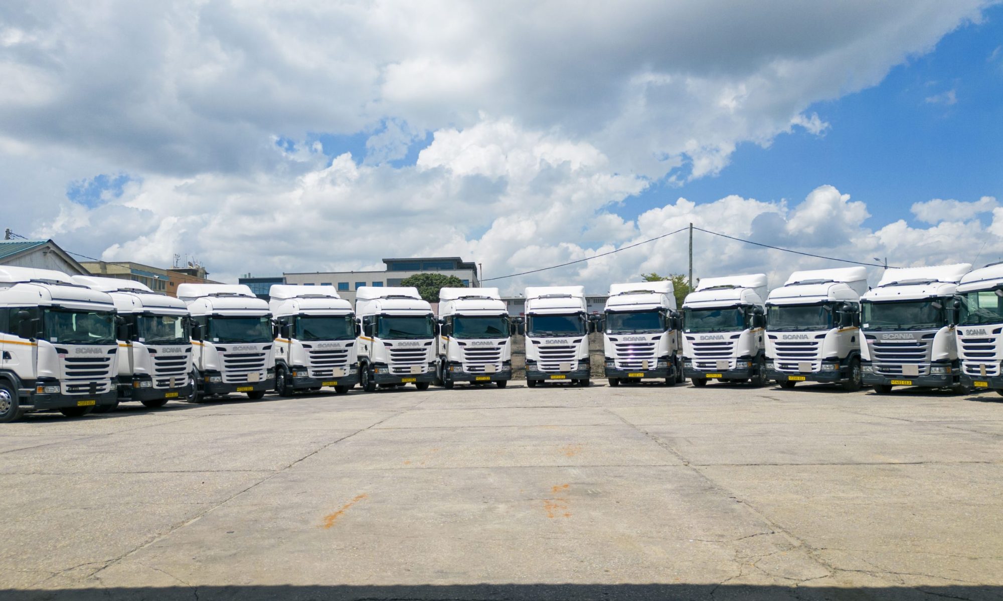 White TTC Scania trucks lined up in the yard